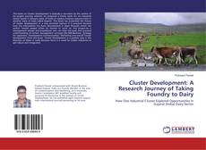 Buchcover von Cluster Development: A Research Journey of Taking Foundry to Dairy