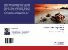 Mollusc in Bangladesh Coast的封面
