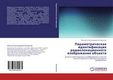 Capa do livro de Параметрическая идентификация радиолокационного изображения объекта 