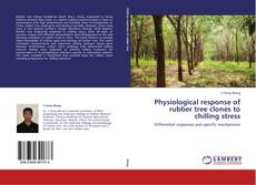 Bookcover of Physiological response of rubber tree clones to chilling stress