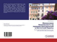 Buchcover von Финансовая безопасность на примере Центральной и Восточной Европы