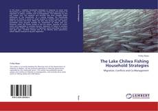 Обложка The Lake Chilwa Fishing Household Strategies
