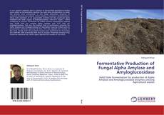 Couverture de Fermentative Production of Fungal Alpha Amylase and Amyloglucosidase