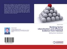 Portada del libro de Banking Sector Liberalization and efficiency Evidence from Pakistan