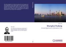 Shanghai Pudong的封面