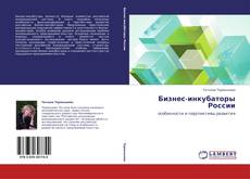 Couverture de Бизнес-инкубаторы России