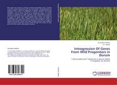 Introgression Of Genes From Wild Progenitors in Durum kitap kapağı