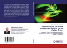 Copertina di Thirty two new SH-waves propagating in PEM plates of class 6 mm