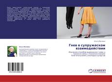 Buchcover von Гнев в супружеском взаимодействии