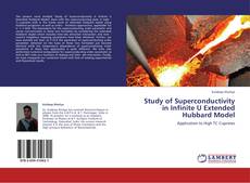 Обложка Study of Superconductivity in Infinite U Extended Hubbard Model