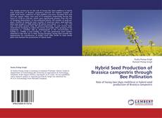 Hybrid Seed Production of Brassica campestris through Bee Pollination kitap kapağı