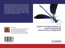 Impact of impoundment on macro invertebrate communities at Koga Dam kitap kapağı