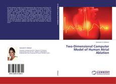 Bookcover of Two-Dimensional Computer Model of Human Atrial Ablation