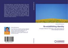 Bookcover of Re-establishing Identity