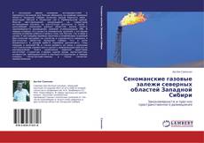 Copertina di Сеноманские газовые залежи северных областей Западной Сибири