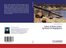 Bookcover of Lakes of River Indus: Symbols of Negligence