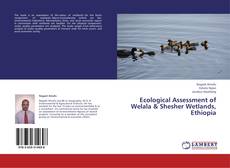 Buchcover von Ecological Assessment of Welala & Shesher Wetlands, Ethiopia