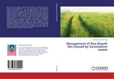 Обложка Management of Rice Sheath Rot Caused by  Sarocladium oryzae