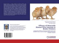 Bookcover of Efficacy of Newcastle Disease Virus Vaccines in Broiler Chickens
