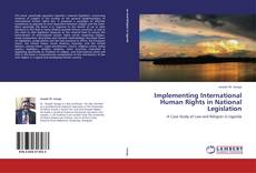 Implementing International Human Rights in National Legislation kitap kapağı