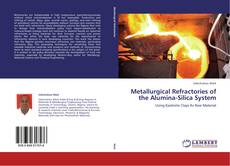 Buchcover von Metallurgical Refractories of the Alumina-Silica System