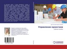 Управление проектами kitap kapağı