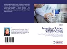 Bookcover of Production of β-lactam Antibiotics through Penicillin V Acylase