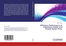 Copertina di Efficiency Performance of Indonesia's Public and Private Sector Firms