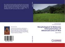 Couverture de Morphological & Molecular Characterization of Advanced Lines of Rice