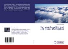 Bookcover of Surviving drought in semi arid regions of Zimbabwe