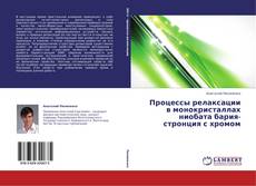 Copertina di Процессы релаксации в монокристаллах ниобата бария-стронция с хромом