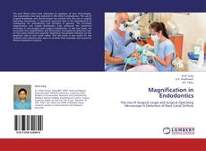 Magnification in Endodontics kitap kapağı