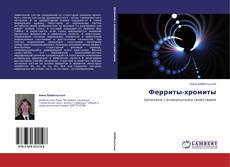 Bookcover of Ферриты-хромиты