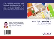 Copertina di Micro Scale Experiment: A Novel Impression