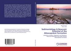 Sedimentology & Reservoir Potential of the Attawapiskat Formation kitap kapağı