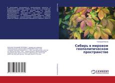 Сибирь в мировом геополитическом пространстве kitap kapağı