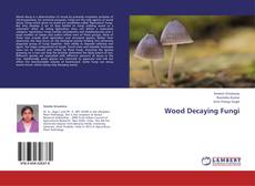 Buchcover von Wood Decaying Fungi