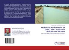 Buchcover von Hydraulic Performance of Flow Over Compound Crested Weir Models