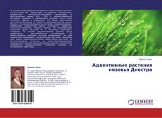 Адвентивные растения низовья Днестра的封面