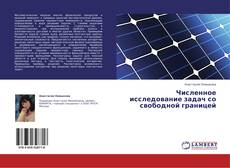 Portada del libro de Численное исследование задач со свободной границей