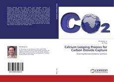 Calcium Looping Process for Carbon Dioxide Capture的封面