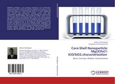 Core-Shell Nanoparticle: Mg(X)Fe(1-X)O/SiO2,characterization kitap kapağı