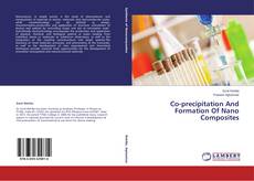 Copertina di Co-precipitation And Formation Of Nano Composites