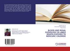 Buchcover von Blood and renal pathology in Labeo rohita exposed to mercuric chloride