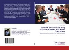 Couverture de Growth and Contributing Factors of Micro and Small Enterprises