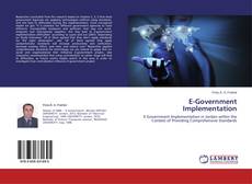 E-Government Implementation的封面
