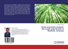 Bookcover of Socio-economic analysis: the small scale forests in Mufindi, Tanzania