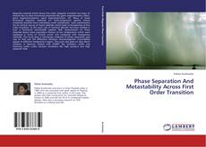 Phase Separation And Metastability Across First Order Transition kitap kapağı