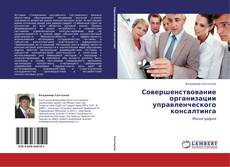 Bookcover of Совершенствование организации управленческого консалтинга