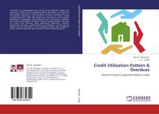 Couverture de Credit Utilization Pattern & Overdues